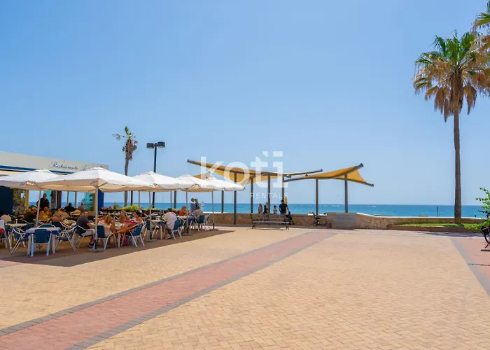 Koti - Dona Sofia 2 *